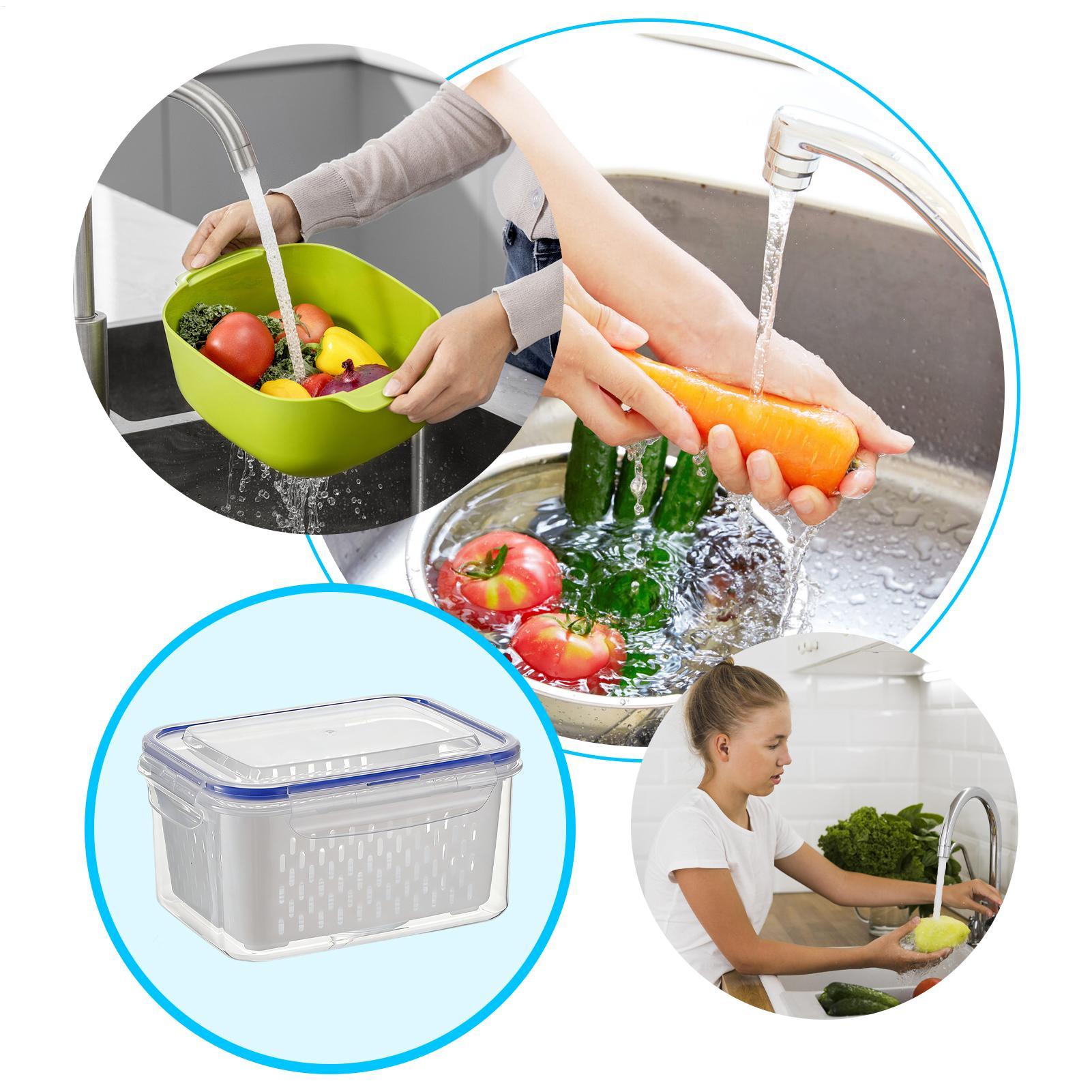 4 In 1 Food Storage Container  - Food Storage Containers ulasan dan harga