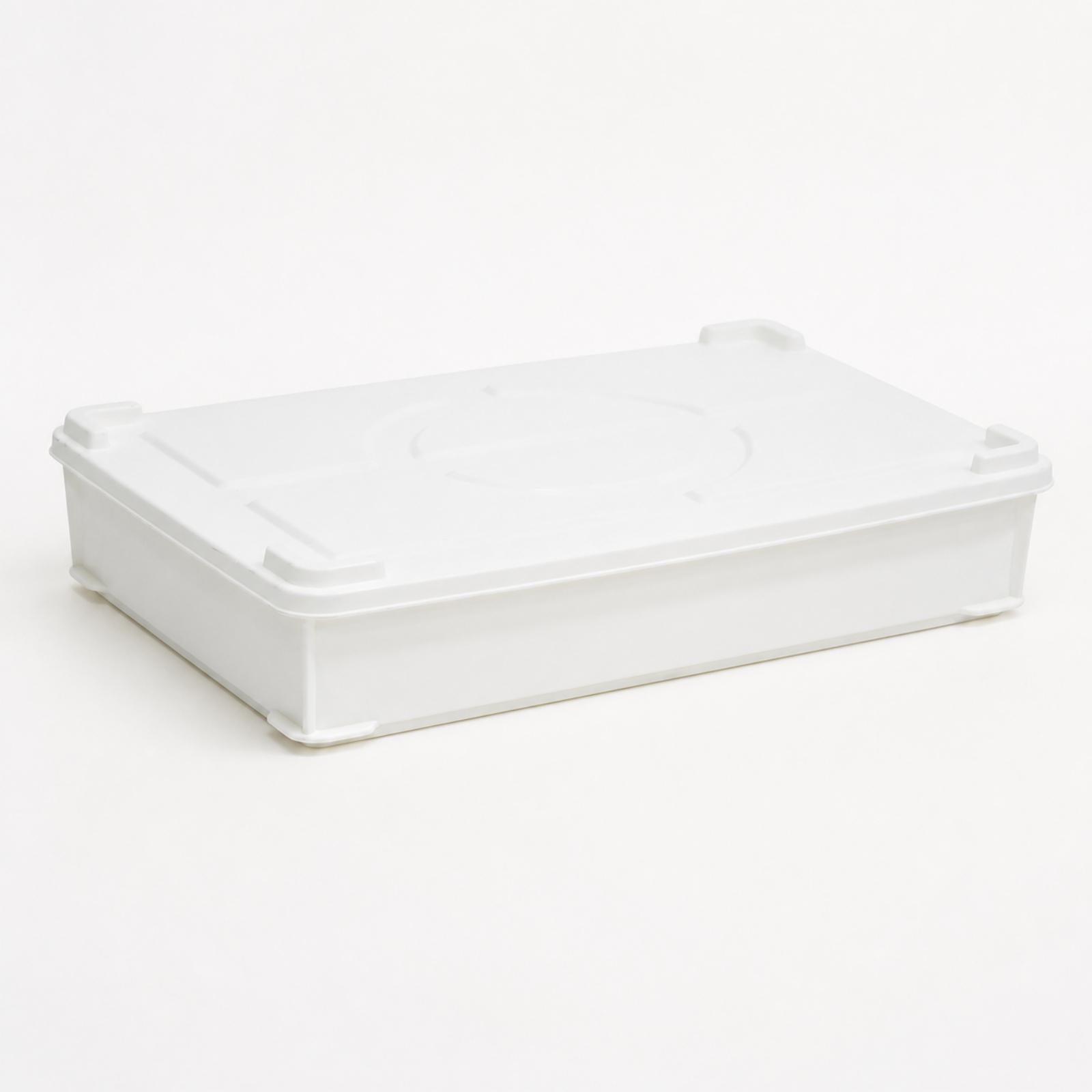 HDPE Fermentation Box for Doug - Food Storage Containers ulasan dan harga